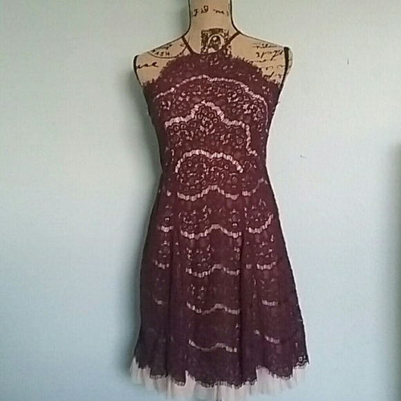 Francesca's Collections Dresses & Skirts - Francesca's Lacey Plum Party Dress